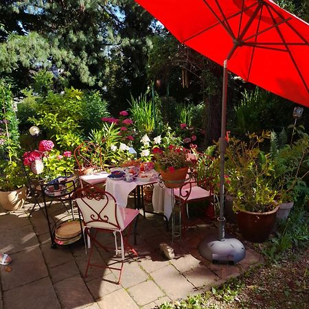 B&B Am Park Rheinfelden Kültér fotó