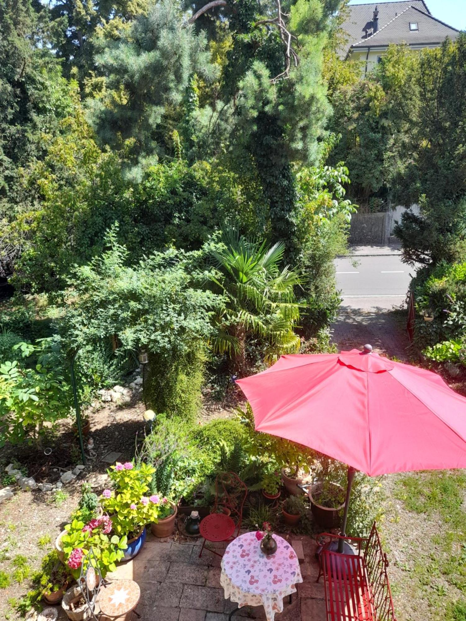 B&B Am Park Rheinfelden Kültér fotó