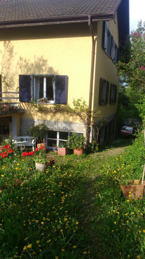 B&B Am Park Rheinfelden Kültér fotó