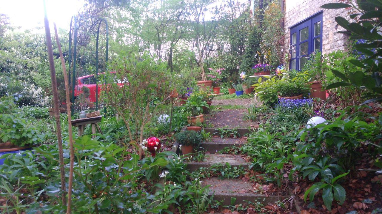 B&B Am Park Rheinfelden Kültér fotó